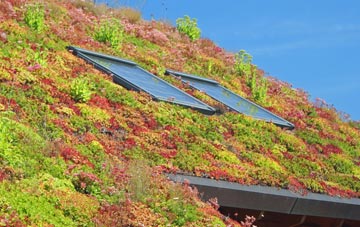 Boncath living roof systems