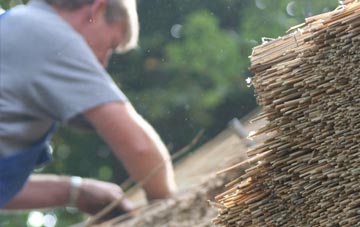 professional Boncath thatchers